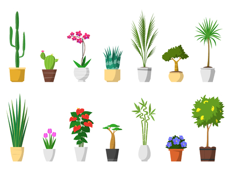 Big set of decorative house plants with pot isolated. interior, vector, flat icon design.のイラスト素材