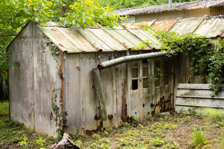 A very old shed abandoned in a forestの写真素材
