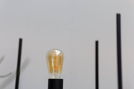 Vintage Edison Light Bulb in black socket