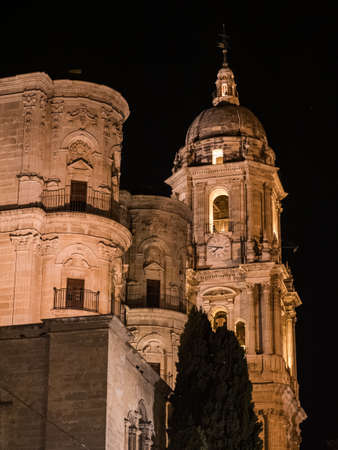 View of Malaga Cathedral at night.の写真素材
