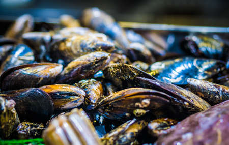 Close mussels on the market.の写真素材
