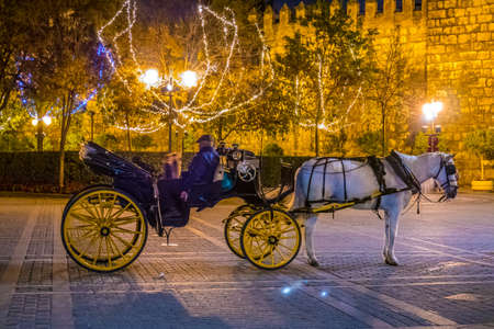 Lord in a carriage on the streets of seville at night.のeditorial素材