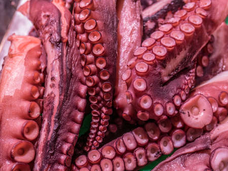 Closeup of red Octopus Tentacles in the seafood market.の写真素材