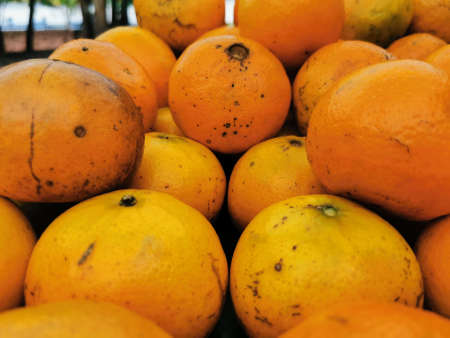 Full frame of group of oranges.の写真素材