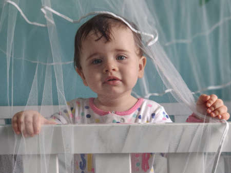 Baby standing in the crib protected by the mosquito net.の写真素材
