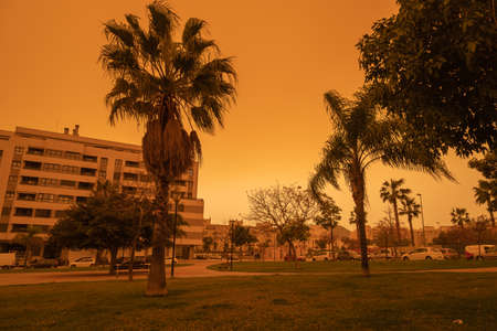 Malaga, Spain - March 24, 2022: Apocalyptic vision of the muddy sky in Malaga due to the arrival of the Saharan fog with no filter.の写真素材