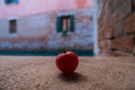 Ripe tomato isolated on Venice - Italy, blurry background.の写真素材