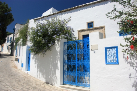 Sidi Bou Saidの写真素材