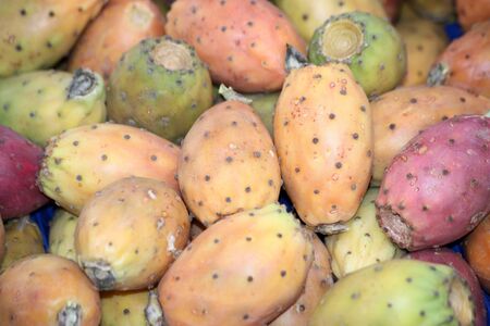 prickly pearsの写真素材