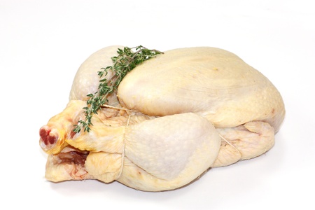 chickenの写真素材