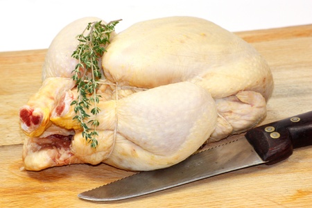 chickenの写真素材