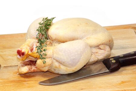 chickenの写真素材