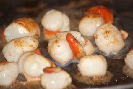 scallopの写真素材