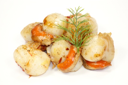 scallopの写真素材