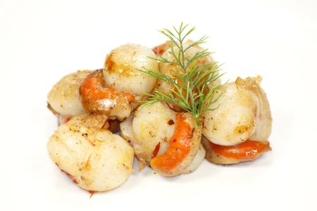 scallopの写真素材