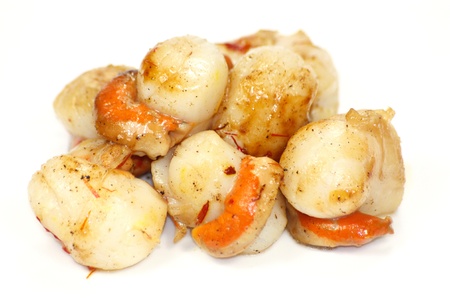 scallopの写真素材