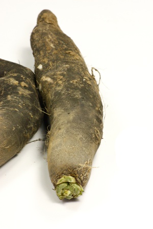 radishの写真素材