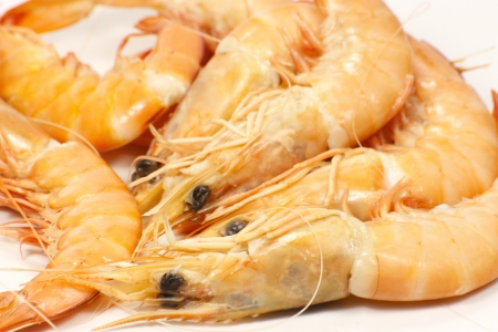 shrimpの写真素材