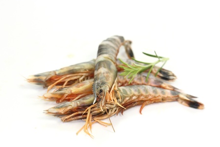 prawnsの写真素材