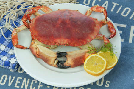crab cooked in a plateの写真素材