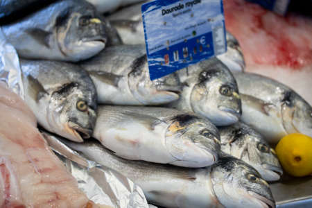 sale of fresh fish in a fish shopの写真素材