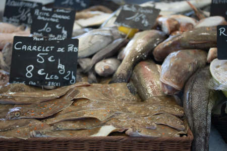 fresh fish stall in a fish shop