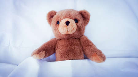 teddy bear lying in a bed