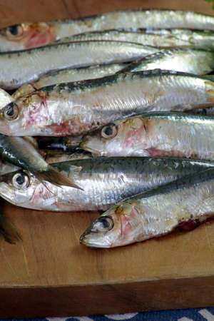 fresh sardines on a cutting boardの写真素材