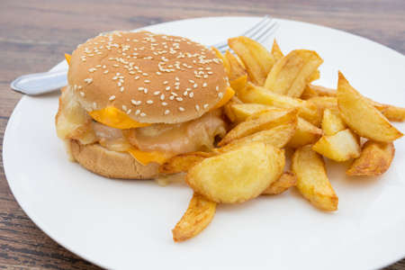 burger with salmon and fries on a plate