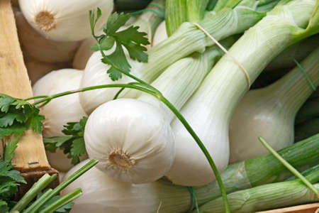 fresh white onions close up