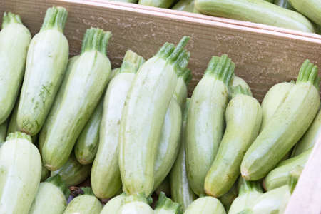 small green zucchini on a marketの写真素材