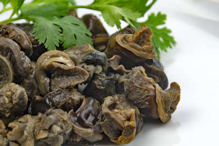 cooked Burgundy snails in white plate