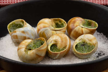 fresh baked snails with parsley and garlic butterの写真素材