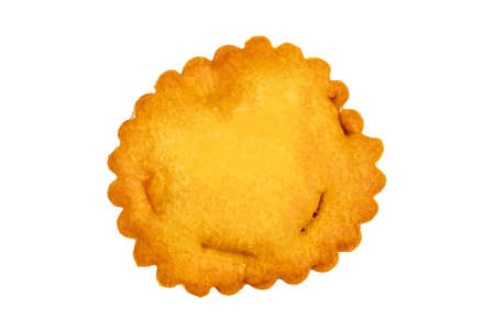 Setoises tiels in closeup isolated on a white backgroundの写真素材