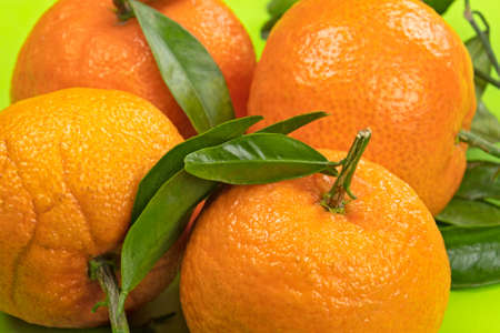 several isolated clementines on a green backgroundの写真素材