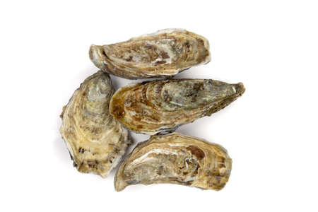 top view of several closed oysters isolated on a white background