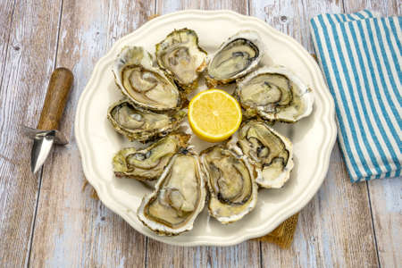 open oysters in a dish with a lemon
