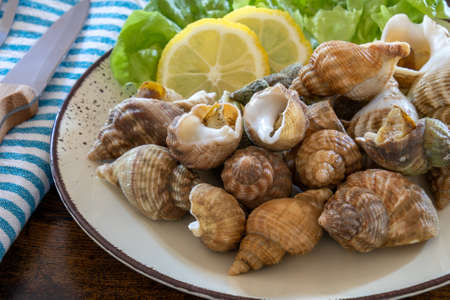 cooked whelks on a plate with salad and lemonの写真素材