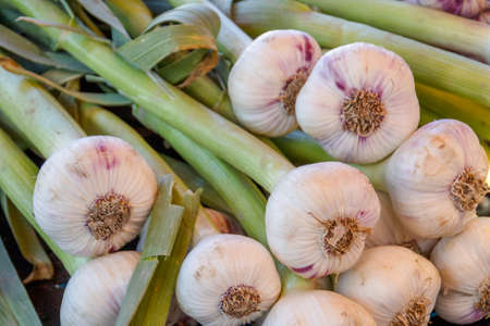 close up of fresh raw garlic in a marketの写真素材