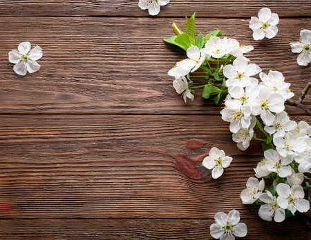 Spring blossom on wooden background. Top view with copy space.の素材