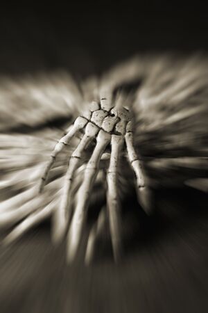 skeleton hands