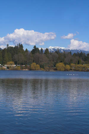 vancouver park day timeの写真素材