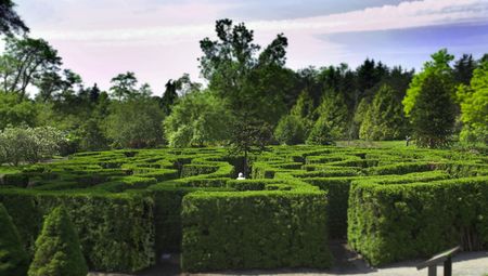 photo of maze in vancouver garden vandusen park