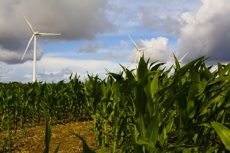 windmill in wide field in brittany in franceの写真素材