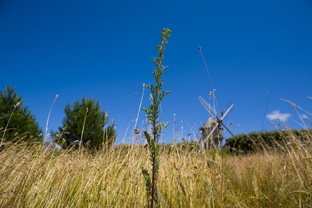windmill in wide field in brittany in franceの写真素材