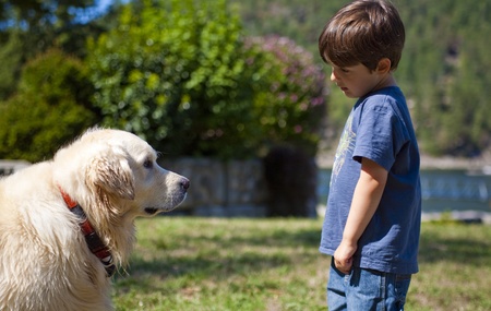 boy looking at dog at day timeの写真素材