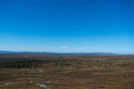 Norwegian mountain in beautiful fall colors. This is in Trysil twenty five miles north of Oslo.の写真素材