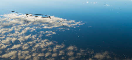 Parallel worlds. Reflection in water. Branch in the reflection