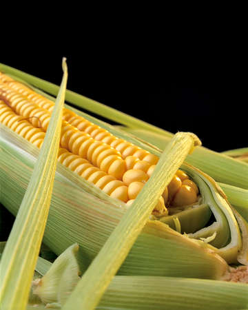 Photo illustrated a corn cob leaves cob food