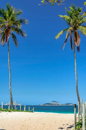 Leblon beach in the morning with the sea and the islands Cagarras among coconut treesの写真素材